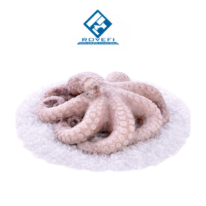 Pulpo Congelado